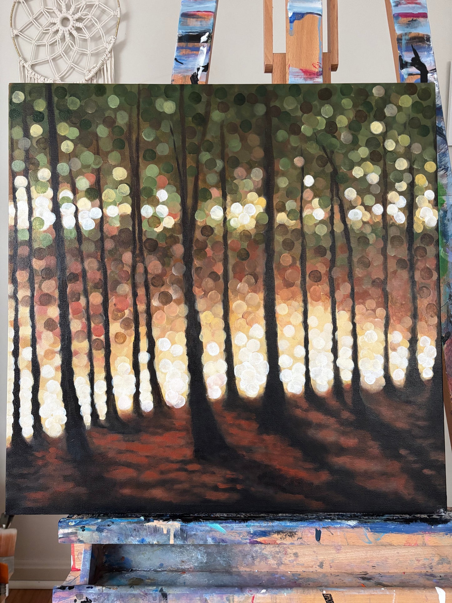 Bokeh Sunset Forest