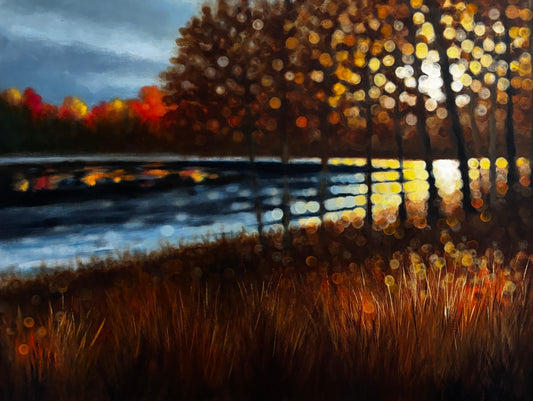 Where Autumn Holds the Light
Original Bokeh Landscape Painting