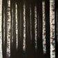 Ghost Birch - EMcBartwork by Ellie McBride Artist from Vermont - Cool Ethereal Paintings 